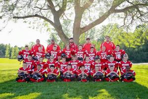 Colts 2015 team